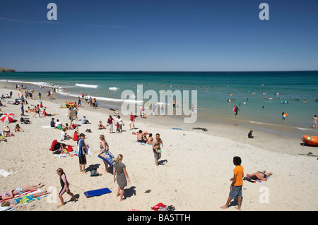 Estate a St Clair spiaggia di Otago Dunedin Isola del Sud della Nuova Zelanda Foto Stock