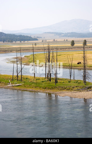 Yellowstone River meandering attraverso la valle di Hayden il Parco Nazionale di Yellowstone negli Stati Uniti d'America Foto Stock