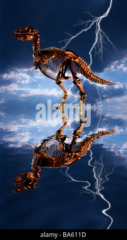 Computer generate concetto di dinosauri preistorici scheletro in un lago poco profondo Tyrannosaurus Foto Stock