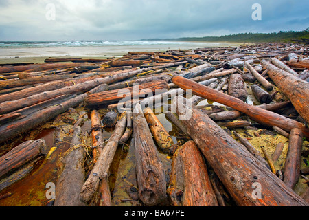 Driftwood disseminate lungo Wickaninnish Beach e la ruvida delle acque dell'Oceano Pacifico Wickaninnish Bay Pacific Rim National Park. Foto Stock