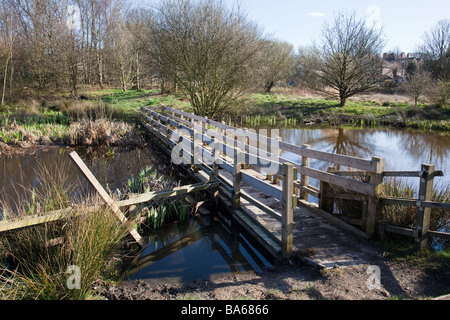 Le tre sorelle stagni e campo in Eccles Manchester Regno Unito un sito di particolare interesse biologico Foto Stock