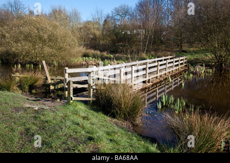 Le tre sorelle stagni e campo in Eccles Manchester Regno Unito un sito di particolare interesse biologico Foto Stock