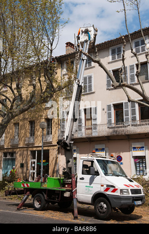 Operai che usano motoseghe a pollard gli alberi di pianura in primavera nella città di Carpentras, Provenza, Francia Foto Stock