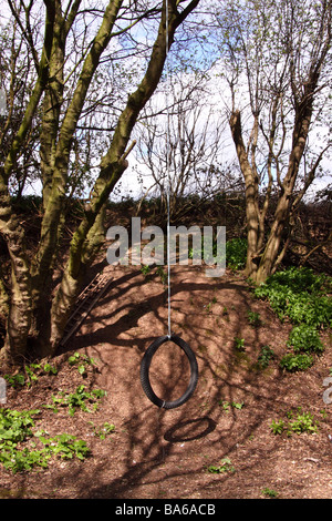 Swing corda nel bosco per bambini di oscillare su Foto Stock