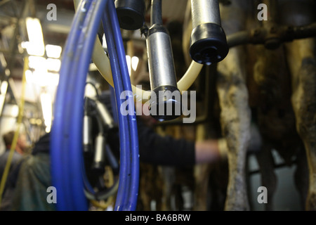 Il latte biologico caseificio nel Kent,Inghilterra Foto Stock