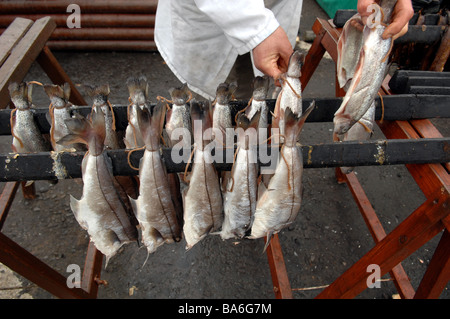 Arbroath smokies in vendita su un mercato degli agricoltori in Scozia Foto Stock