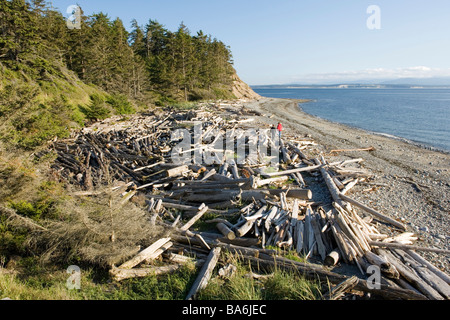 Costa in Fort Ebey parco dello stato di Washington Foto Stock