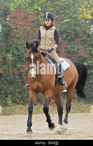 Giovane donna cavallo su warmblood bavarese cavallo Foto Stock