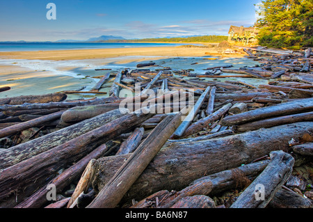 Wickaninnish Interpretive Center e driftwood disseminate lungo la spiaggia Wickaninnish Wickaninnish Bay Pacific Rim National Park. Foto Stock