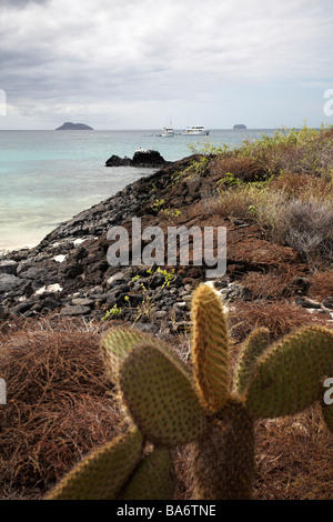 Visitando le barche ormeggiate off di Bachas Beach, Isola di Santa Cruz, Galapagos, Ecuador nel mese di settembre Foto Stock