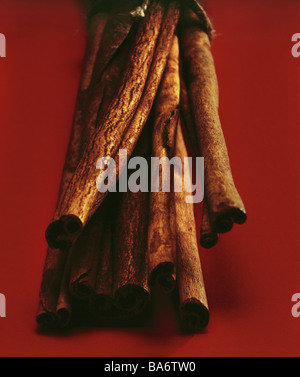 La cannella-poli Cinnamomum cannella essiccato di cannella e corteccia abbaia-pezzo pole-cannella condimenti alimentari condimento di gusto simbolo di aroma Foto Stock