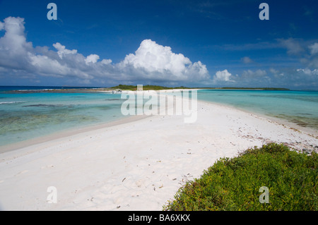 Barra di sabbia su Espenqui Los Roques Venezuela Sud America Foto Stock