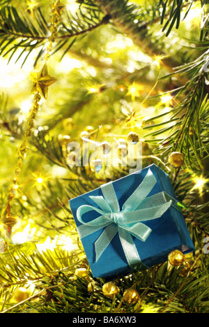 Il Natale cristiano-tree close-up di Abete rami dono-package blue piccolo inchino ad abete rami dettaglio decorazione decorate Foto Stock