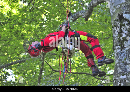 Logger di feriti Foto Stock