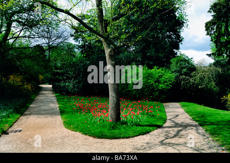 Parigi Francia, parco urbano, paesaggio, 'fork in the road' in 'Bagatelle Giardino scenario, Urban Garden città paesaggistici Foto Stock