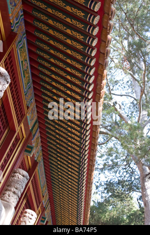 La fine del tetto di una torre nel parco della città di forbiden bejing Foto Stock