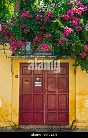 Quartiere Francese o ville Blanche Pondicherry Tamil Nadu India Foto Stock