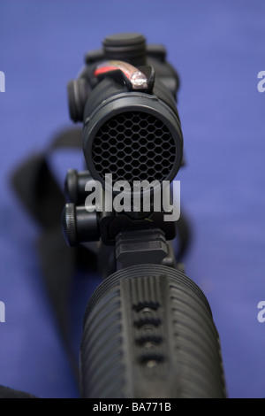 AR 15 M-16 con una battaglia pronto campo di applicazione e sistema di avvistamento fanno di questa una combinazione difficile per il settore militare e di polizia Foto Stock