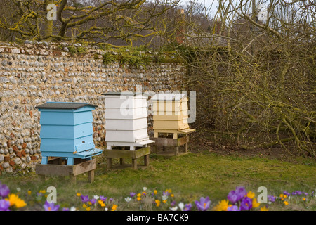 Alveari nel prato di fiori selvaggi Foto Stock