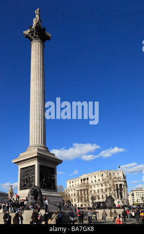 Nelsons Column, Trafalgar Square, Londra, Inghilterra, Regno Unito. Foto Stock
