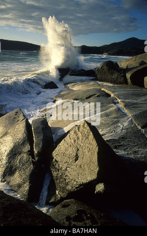 In prossimità delle rocce di granito nei pressi della baia di whisky, Wilsons Promontory National Park, Victoria, Australia Foto Stock