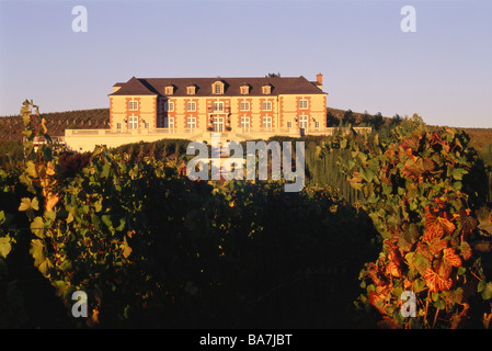 Domaine Carneros, Cameros, Napa Valley, California, Stati Uniti d'America Foto Stock