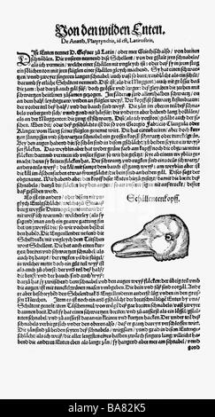 Zoologia / Animali, libri di testo, 'Historia animalium', di Conrad Gessner, Zurigo, Svizzera, 1551 - 1558, goldeneye comune (Bucephala clangula), testa, legno tagliato, Foto Stock