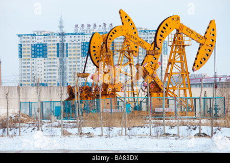 Annuendo asino pompe dell'olio in Daqing campo petrolifero nel nord della Cina Foto Stock