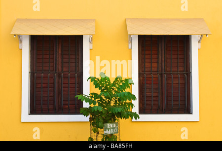 Windows nel Quartiere Francese o ville Blanche Pondicherry Tamil Nadu India Foto Stock