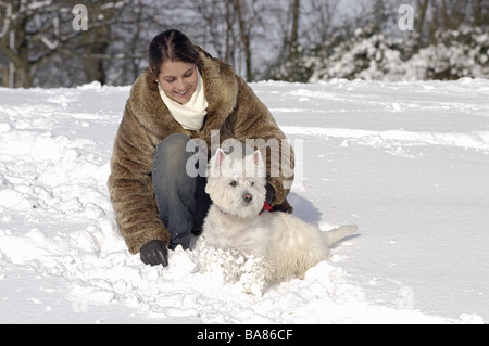 Donna con Westhighland White Terrier cane nella neve Foto Stock