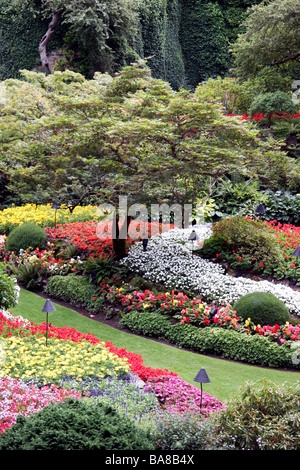 Incredibile display floreali ai Giardini Butchart Foto Stock