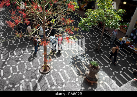 Guardando in giù nel cortile al mercato di frutta e verdura in Funchal Foto Stock