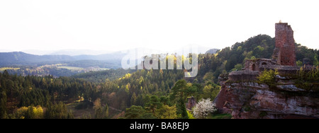 Altdahn castello nei pressi del Palatinato Dahn Germania Aprile 2009 Foto Stock