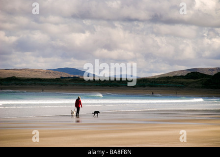 Narin Ardara County Donegal Irlanda donna cammina cani sulla spiaggia dall Oceano Atlantico Foto Stock