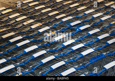 File di carrelli di shopping a Ikea di mobili e di arredamento per la casa super store Malaga Provincia di Malaga Costa del Sol Spagna Foto Stock