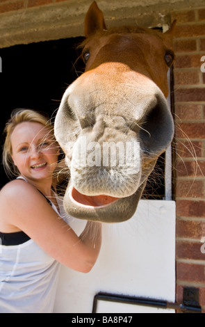 Ragazza facendo un polverone di shire cavallo al centro di salvataggio Foto Stock