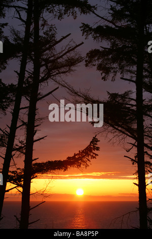 Tramonto - Fort Ebey del Parco Statale di Whidbey Island, Washington Foto Stock