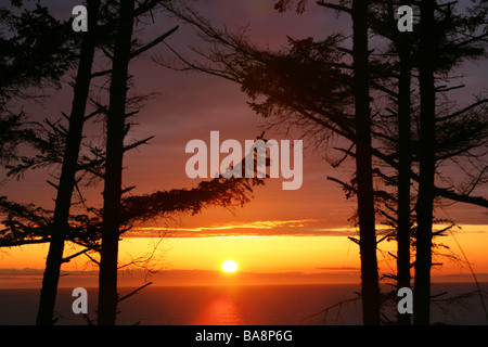 Tramonto - Fort Ebey del Parco Statale di Whidbey Island, Washington Foto Stock