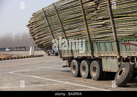 Un autocarro sovraccaricato con bambù si rompe in Cina settentrionale Foto Stock