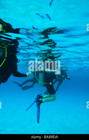 Molti subacquei floating in blu dei Caraibi acqua vicino bonaire Foto Stock