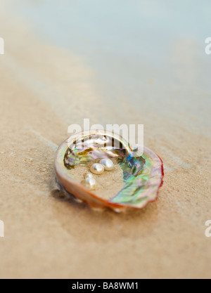 Close up di perle nel guscio di ostrica Foto Stock