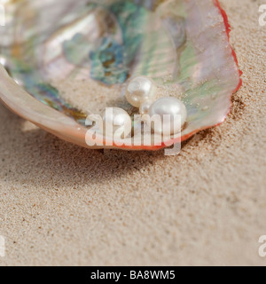 Close up di perle nel guscio di ostrica Foto Stock