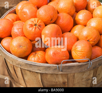 Arance in un cestello ad una frutta stand Foto Stock