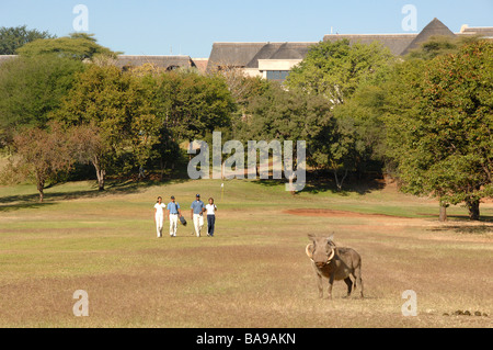 Il turista a godere il campo da golf in Zimbabwe Elephant Hills Resort. Foto Stock