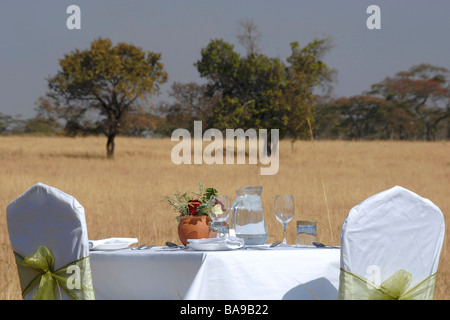 Safari stile stile elegante comfort confortevole unicità esclusiva suave eleganza grazia elegante grazia poise in bilico polacco s Foto Stock