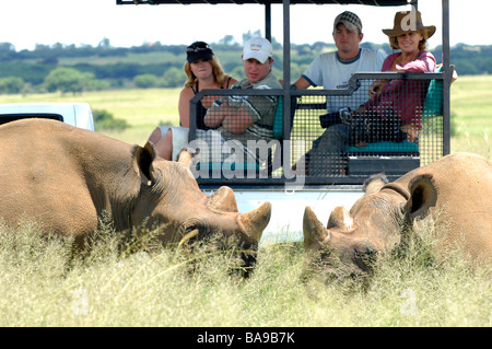 Il turista a godere di un incontro ravvicinato con il rinoceronte bianco in Zimbabwe Imire Safari Park. Foto Stock