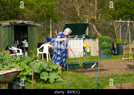 Donna anziana persona zappando la lavorazione del terreno sul suo giardino riparto assegnazioni Foto Stock