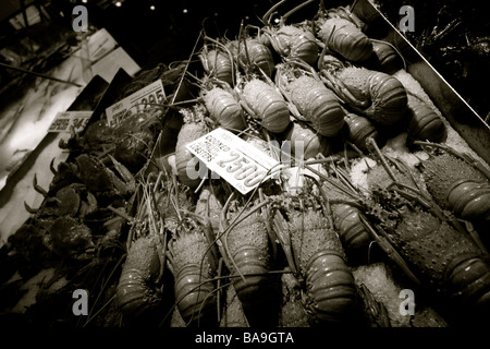 Il taccheggio di aragoste in Sydney Fish marke Foto Stock