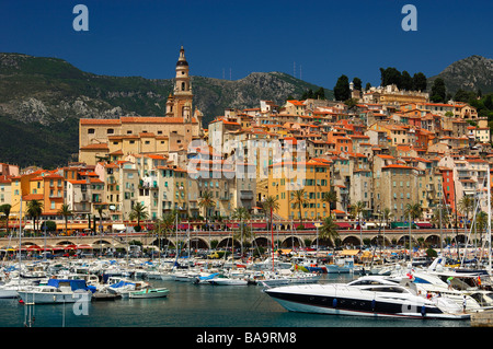 Il Vecchio Porto di Mentone, nel retro della città vecchia di Mentone con la barocca chiesa di Saint Michel, Menton, Côte d Azur, Francia Foto Stock