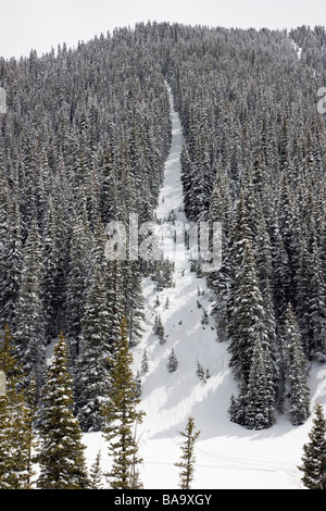 Una delle piste da sci All Mountain Silverton Silverton Colorado Foto Stock